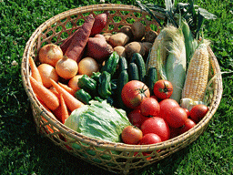 新鮮な野菜にも酵素が含まれます。